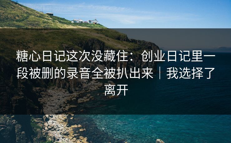 糖心日记这次没藏住：创业日记里一段被删的录音全被扒出来｜我选择了离开